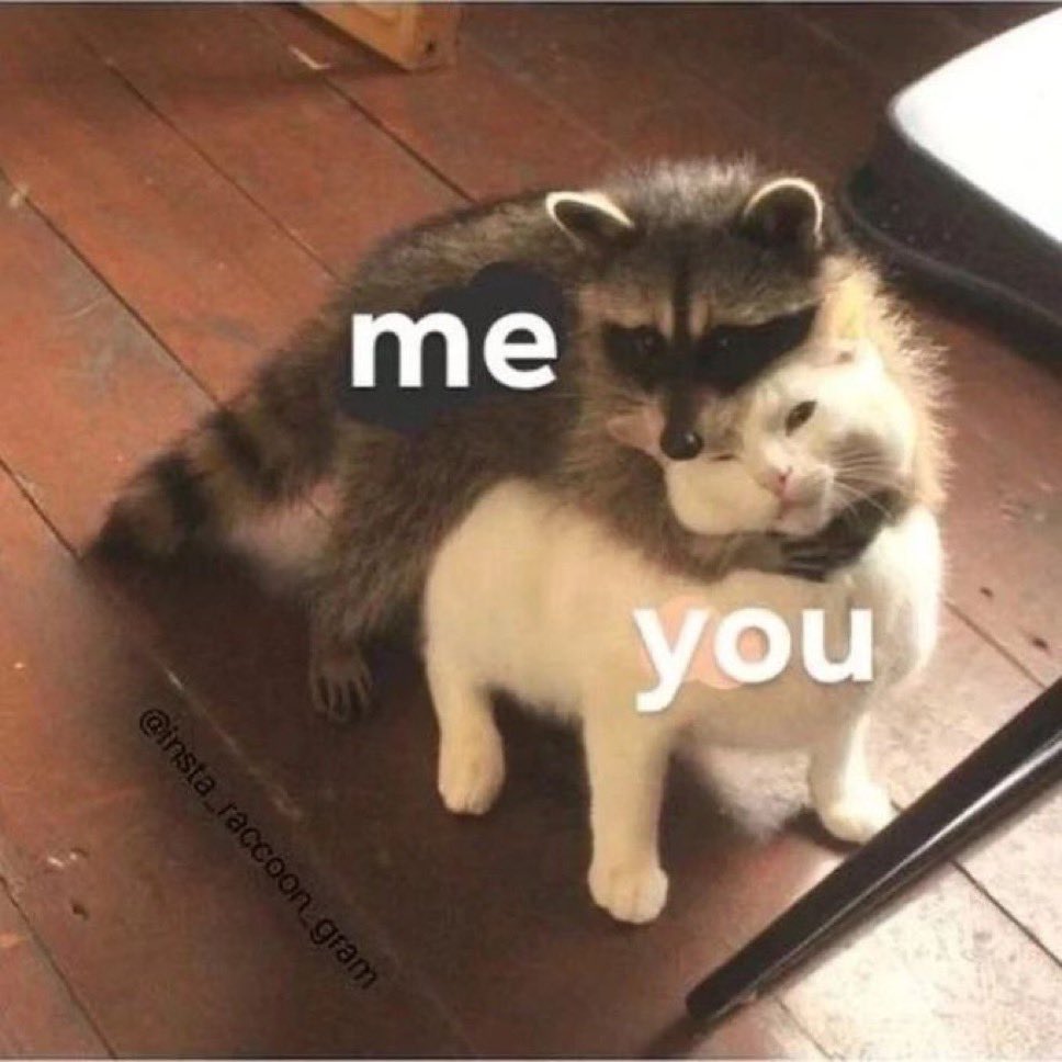 raccoonesthetic's tweet photo. https://t.co/fXTrh7MLgi