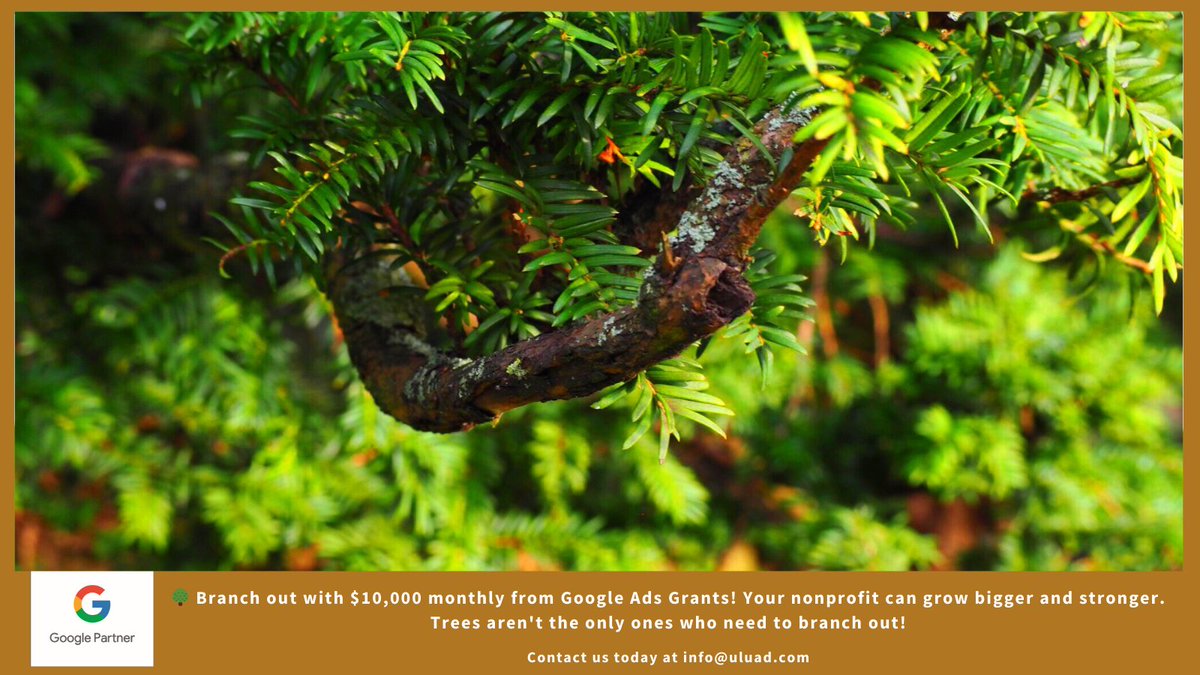UluadM's tweet image. Branch out with $10,000 monthly from Google Ads Grants! Your nonprofit can grow bigger and stronger. Trees aren&apos;t the only ones who need to branch out!
Contact us today at info@uluad.com
#branchout
#GoogleAdsGrant
#digitalmarketing