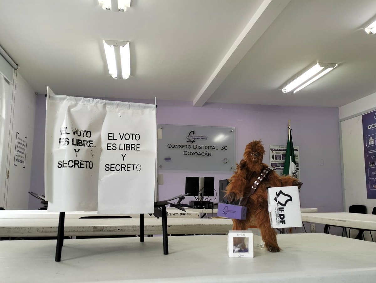 Sigue el ejemplo de #Chewie y si fuiste designada persona Funcionaria de Mesa Directiva de Casilla, este domingo 2 de junio lleva a la casilla el material y paquetes electorales que te entregó el #INE e @iecm para que se instale y reciba la votación de la ciudadanía
#Vota2dejunio