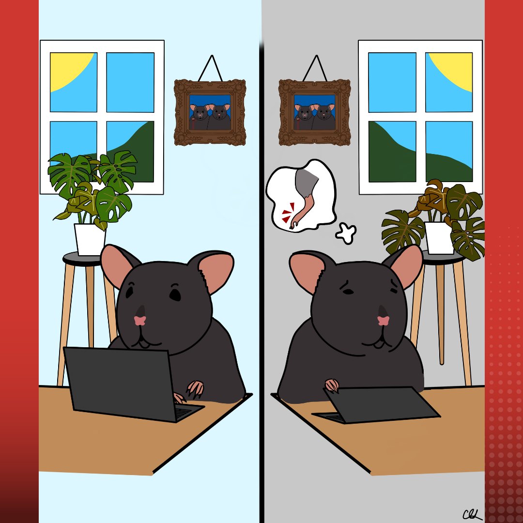 The June #PAIN cover depicts a mouse losing its motivation to work from home due to chronic pain. Similarly @mccalhasanilabs et al. found chronic spared nerve injury reduces performance on homecage-based operant tasks bit.ly/4b7MrqP