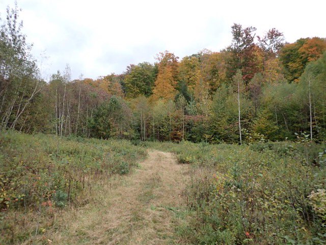 Feature Ranch: This 221 +/- acre property in Rutland Co., VT, is bordered on 3 sides by national forest land. With beautiful views, it's an ideal location to build a camp. Offered by Michael Tragner w/ Fountains Land. ranchflip.com/ranch/375832