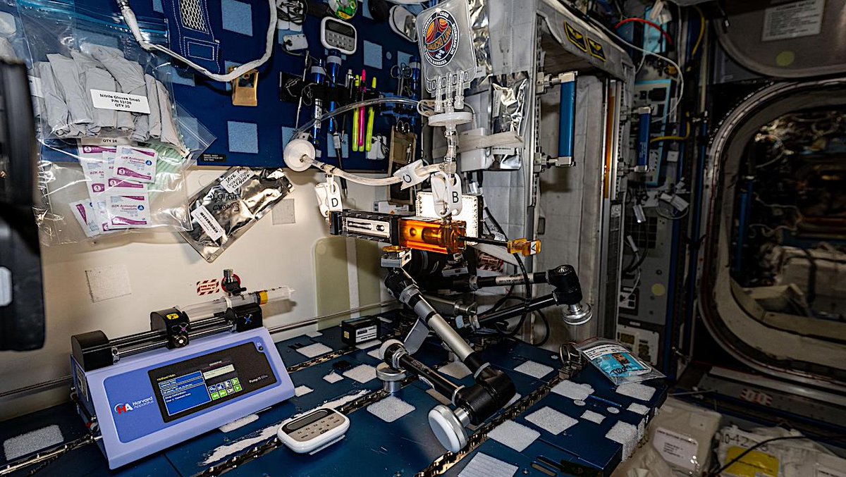 Your Next Life Science Laboratory Workspace May Be Offworld
astrobiology.com/2024/05/your-n… #Astrobiology #spacelifescience #spacebiology #ISS #spaceStation @ISS_Research @ISS_CASIS