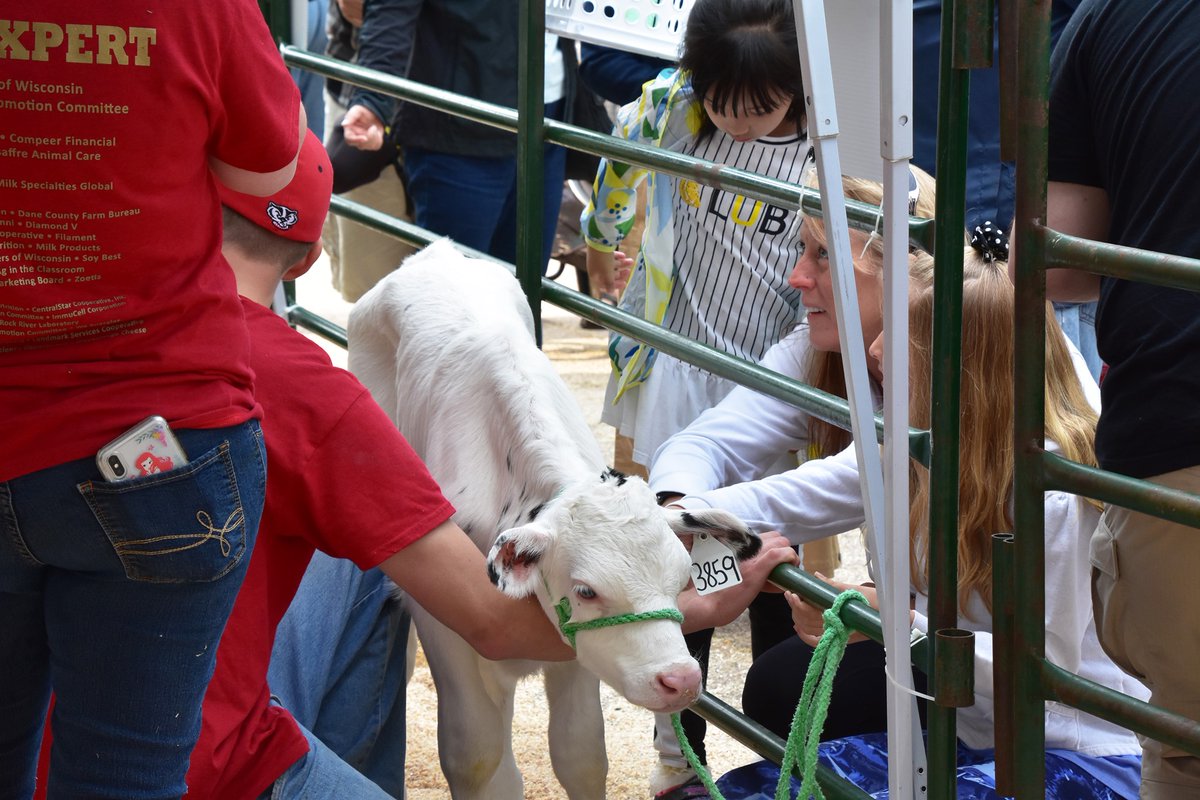 #JuneDairyMonth kicks off this weekend! Cows on the Concourse, happening Saturday June 1st, is just one example of all the fun that awaits us this #DairyMonth! Learn more at ow.ly/orbk50RXb0E