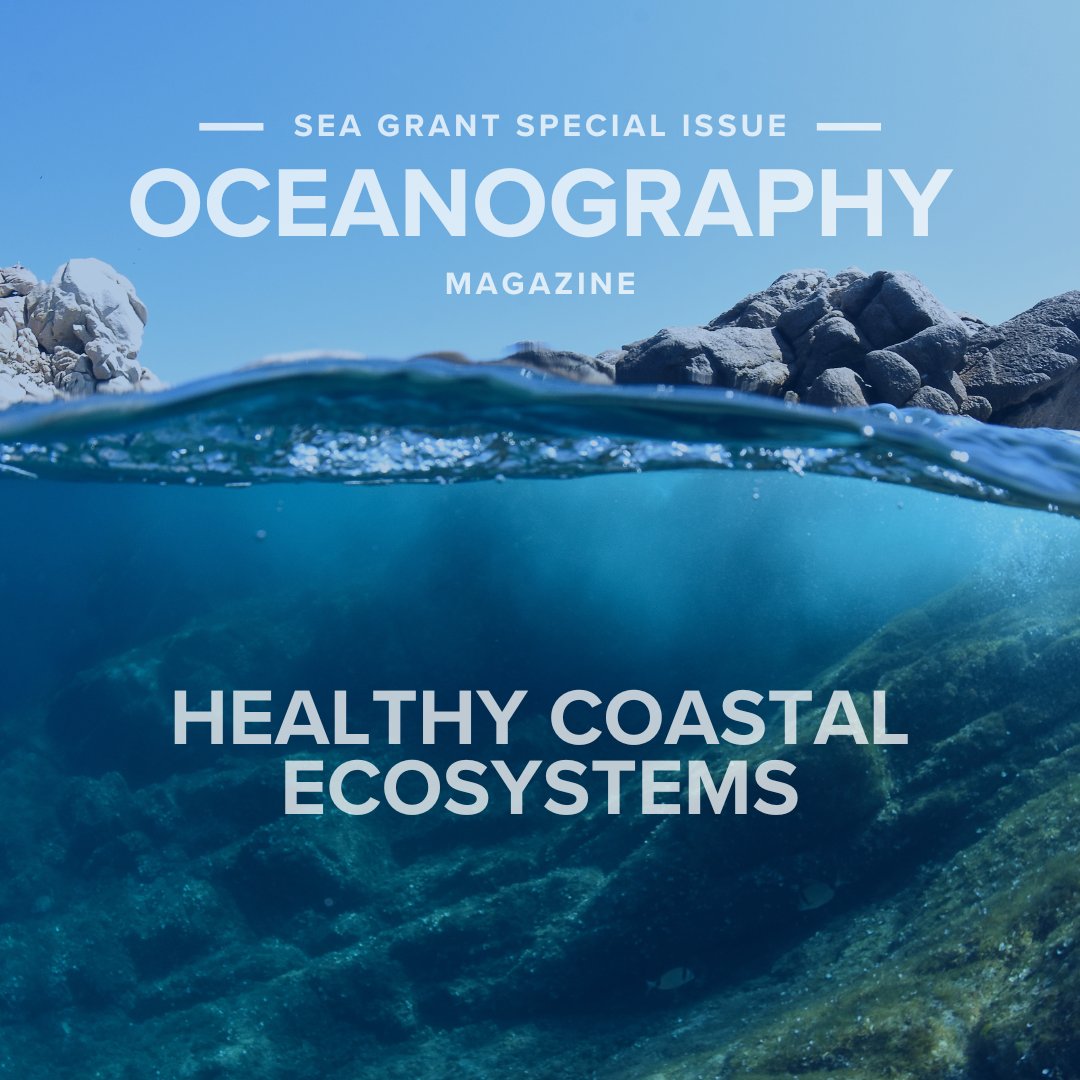 #SeaGrant professionals use their expertise in #EcosystemManagement to promote #EnvironmentalStewardship and help build healthy #coastal ecosystems.

Read about these efforts in our <a href="/TOSOceanography/">Oceanography Society</a> special issue: bit.ly/SG-Oceanography