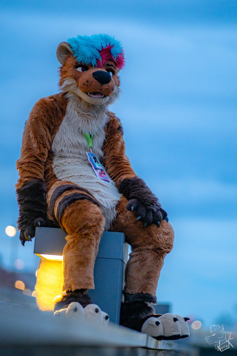 Happy #WorldOtterDay 🦦💙❤️

📸: <a href="/fur_nerox/">Nerox</a> &lt;3