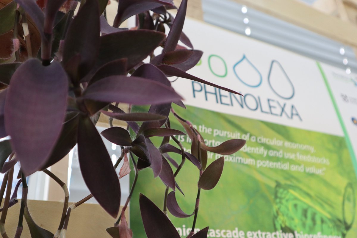 PHENOLEXA CBE-JU | H2020 Project tweet media