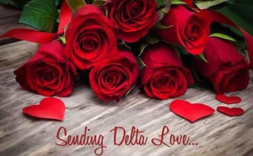 Pamela Hardeman Jess tweet media