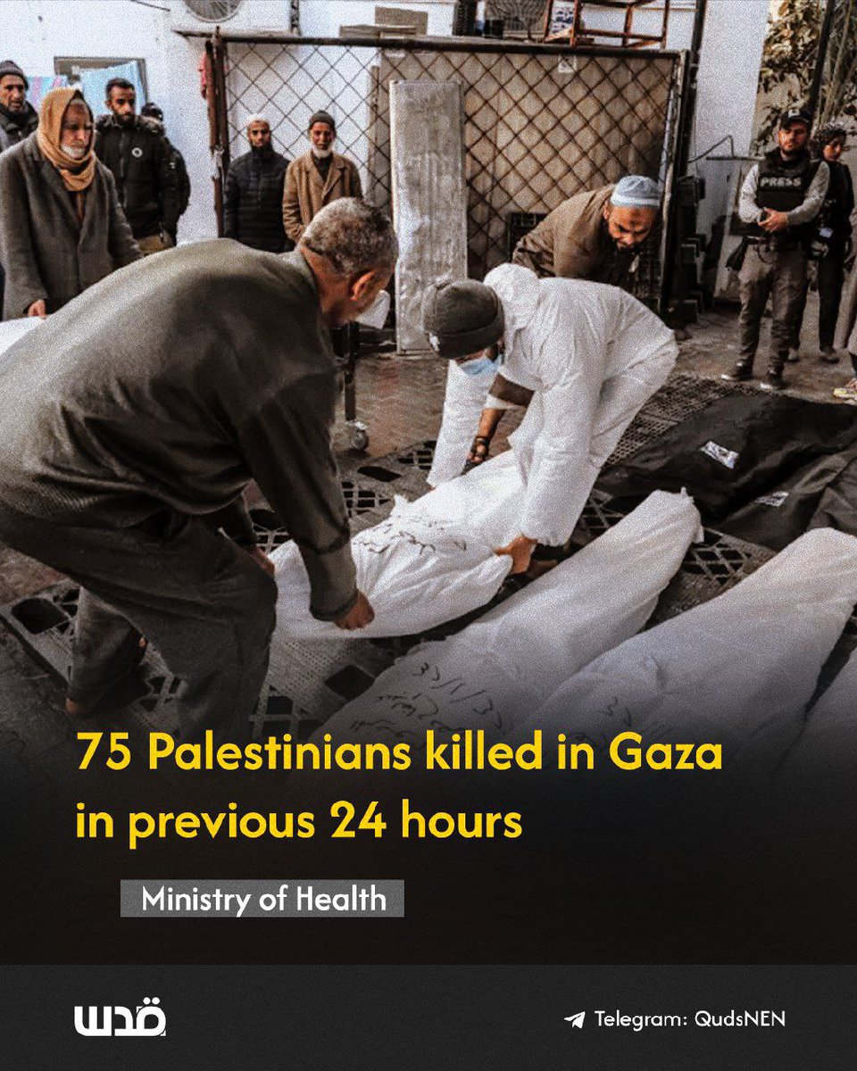 Daily briefing by the Ministry of Health in Gaza on day 236 of the #Israeligenocide:

⭕ The Israeli occupation committed 6 massacres against families in the #Gaza Strip during the past 24 hours, resulting in 75 documented fatalities and 284 injuries.

⭕ The documented 
1/2