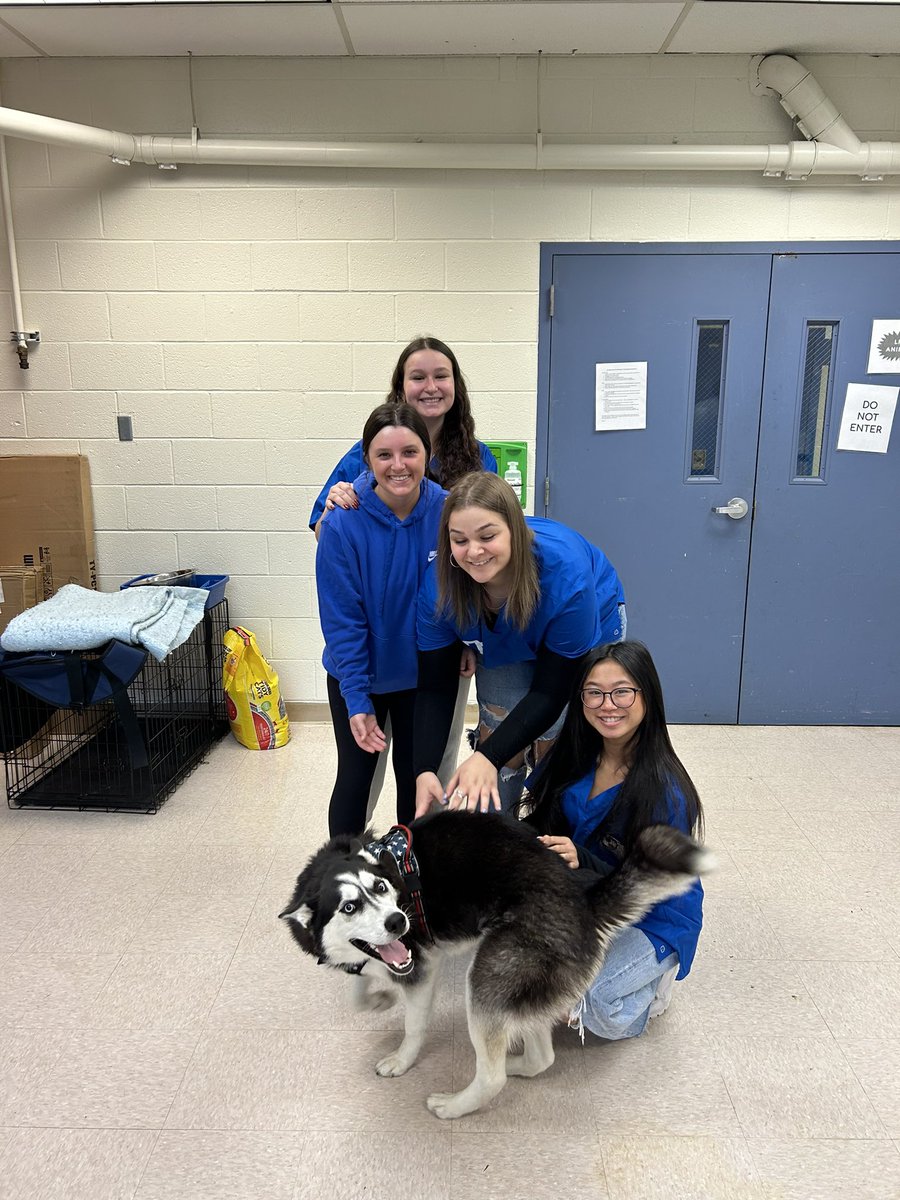 Sheree Fetcho (@sfetcho22) on Twitter photo Thank you to the Trinity Vet Tech students and Mrs. Reddy for taking great care of Gunner today. He got bathed and brushed, and he loved it!
<a href="/TRINITY_MLUCAS/">Dr. Michael Lucas</a>
<a href="/DonSnoke/">Don Snoke</a>
<a href="/thstrinitypride/">Trinity High School</a> Thank you to the Trinity Vet Tech students and Mrs. Reddy for taking great care of Gunner today. He got bathed and brushed, and he loved it!
<a href="/TRINITY_MLUCAS/">Dr. Michael Lucas</a>
<a href="/DonSnoke/">Don Snoke</a>
<a href="/thstrinitypride/">Trinity High School</a>