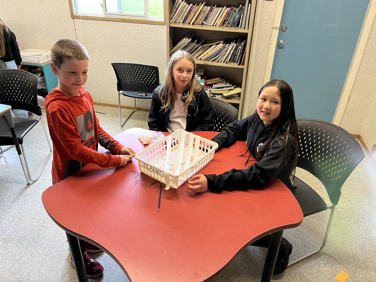 My grade 4/5 class had fun designing and testing their popsicle marshmallow catapults during STEM today. #abbyschools