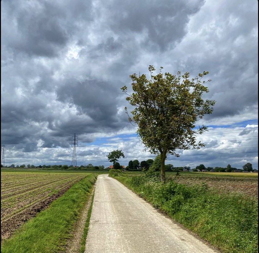 EMeirsch's tweet photo. #vrtweer #ternat #mountainbike 14u11 https://t.co/QLOAfYxjai