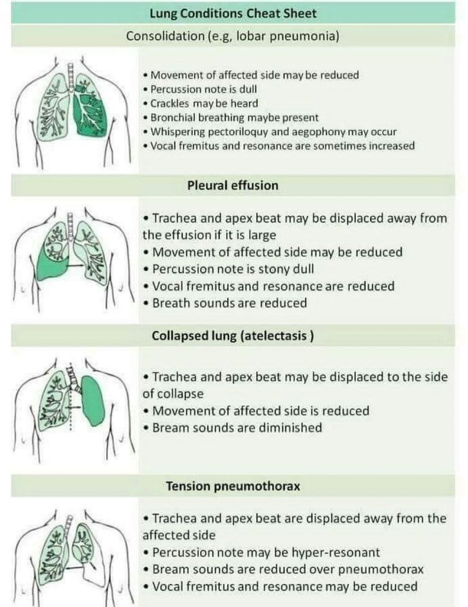 Lung condition cheat sheet