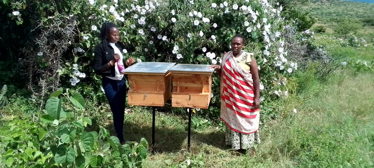 Flexi_Biogas's tweet photo. We installed 8 biogas systems in #doldol, Laikipia county. These systems turn the invasive #cactus into #cleanenergy and #fertilizer.
Weβve also introduced:
10 hybrid beehives,
8 cactus choppers, and
16 vertical gardens,
Many Thanks to #DryGrowFoundation, @UF, and @DiscoverJKUAT https://t.co/jv9srzW5OV