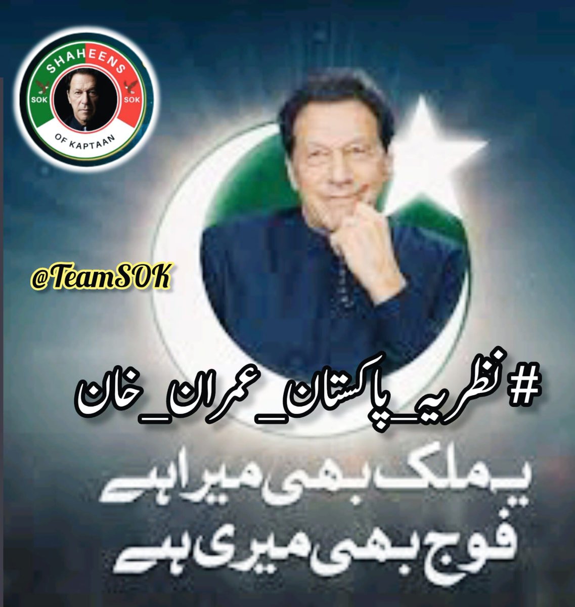 Imran Khan's vision of Naya Pakistan is a goal we are all striving towards. #نظریہ_پاکستان_عمران_خان @TeamS0K