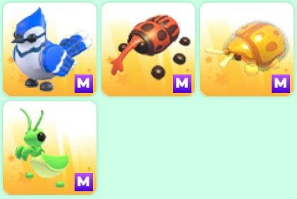 Still looking for nautilus!😃
#adoptmetrading #adoptmetrades #adoptmepets #adoptmeoffers