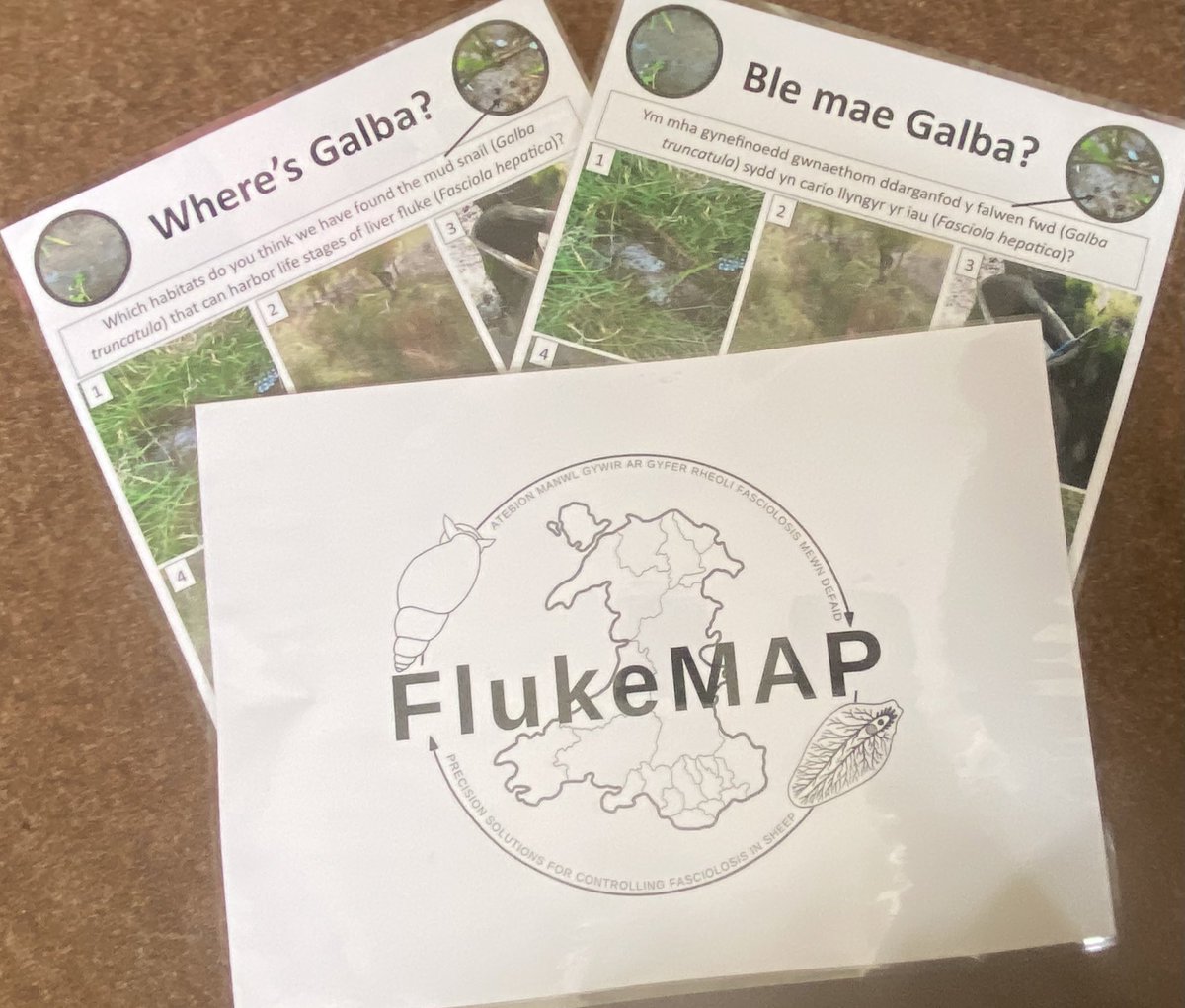 Chelsea Davis (@chelsea_n_davis) on Twitter photo See you at RWAS Sustainable Grass & Muck Event tomorrow! #FlukeMap <a href="/EvansSer/">Serian Evans</a> <a href="/RhysA_J/">Rhys Aled Jones</a> <a href="/AberDLSAGB/">Aberystwyth University DLS/AGB</a> See you at RWAS Sustainable Grass & Muck Event tomorrow! #FlukeMap <a href="/EvansSer/">Serian Evans</a> <a href="/RhysA_J/">Rhys Aled Jones</a> <a href="/AberDLSAGB/">Aberystwyth University DLS/AGB</a>