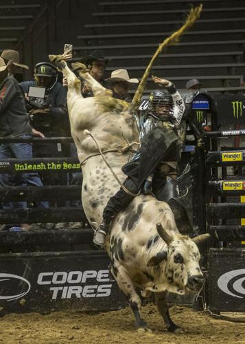 <a href="/PBRbunkhouse/">PBR bunkhouse 🤠🐂🌟</a> <a href="/danawhite/">danawhite</a> <a href="/ddbuckingbulls/">Dennis Davis</a> <a href="/HowlerHead/">Howler Head Banana Bourbon</a> <a href="/happydad/">Happy Dad</a> <a href="/nelkboys/">Nelk Boys</a> Dine' rider <a href="/Keyshawn_W/">Keyshawn Whitehorse</a> tames Dana's #TwistedSteel
Because Indians make the BEST Cowboys!