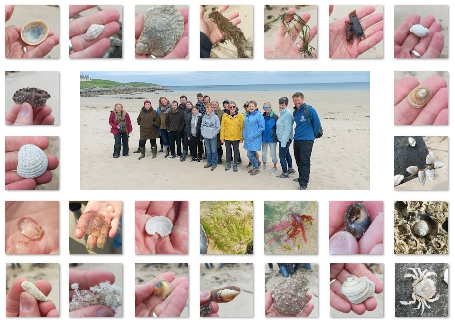 Last Saturday we were at @fanadlighthouse for an Explore Your Shore! workshop with The Sea Collective for #EMDinMyCountry. Thanks to all who took part. We recorded 61 species on our Big Beach Biodiversity Survey on the day. You can get involved at: exploreyourshore.ie