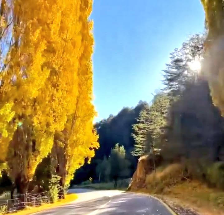 ¡Maravilloso Otoño patagónico!  Ruta 40
El Bolsón 😍🍂