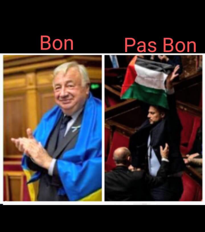 Via Danya Rouk sur FB.

du double standard…
ce qui indique aussi la nature réelle du soutien français à l’Ukraine 
À bas les impérialismes !
#FreeUkraine 🇺🇦 #FreePalestine 🇵🇸