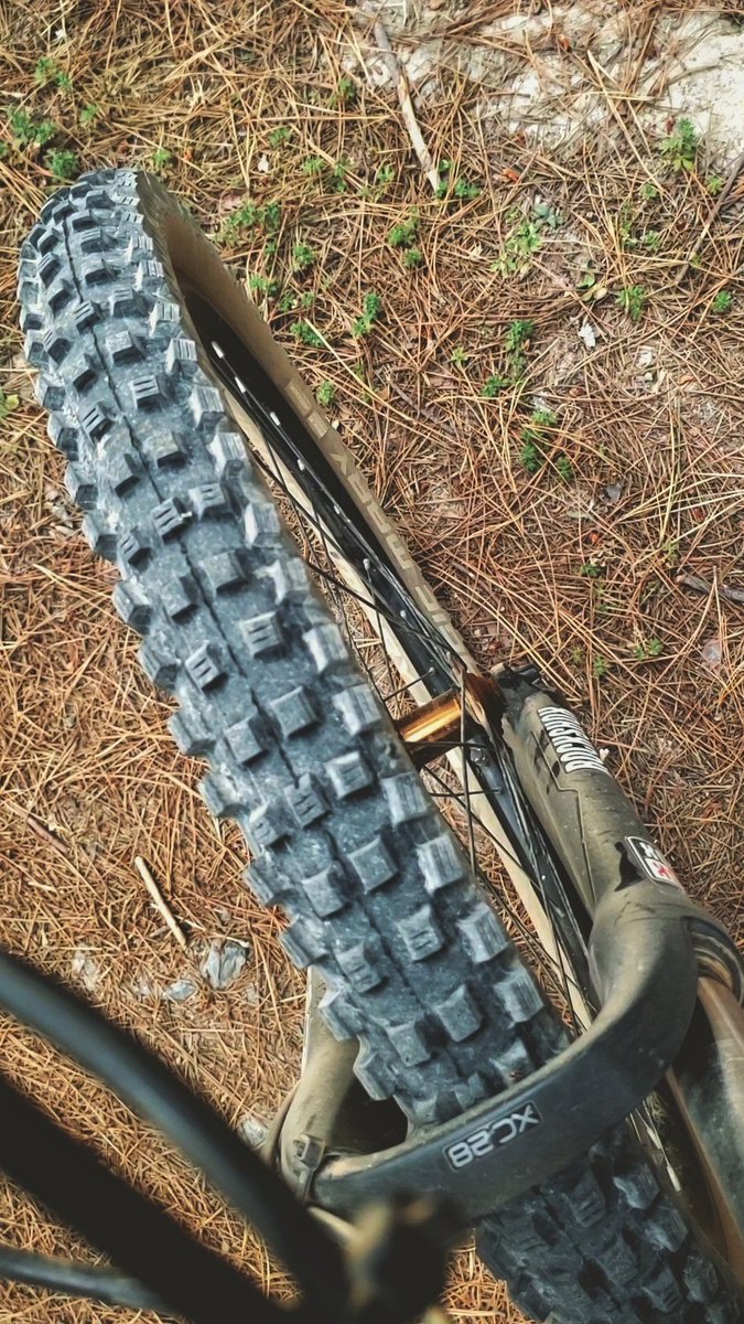 bnolasco_'s tweet image. #PoderNegro 🦾