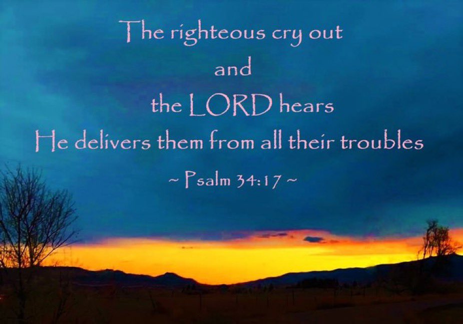 🚨The WHO will not stop until we all unite as one against their evil plan. Join us today May 29 @ 12PM ET for our 2nd FREEDOM PRAYER SPACE 🙏🇺🇸🙏 Host: @BillEllmore Cohosts: @KLVeritas @Drax2431 Coalition Friends: @laralogan @naomirwolf @lizchurchill_10 @annvandersteel