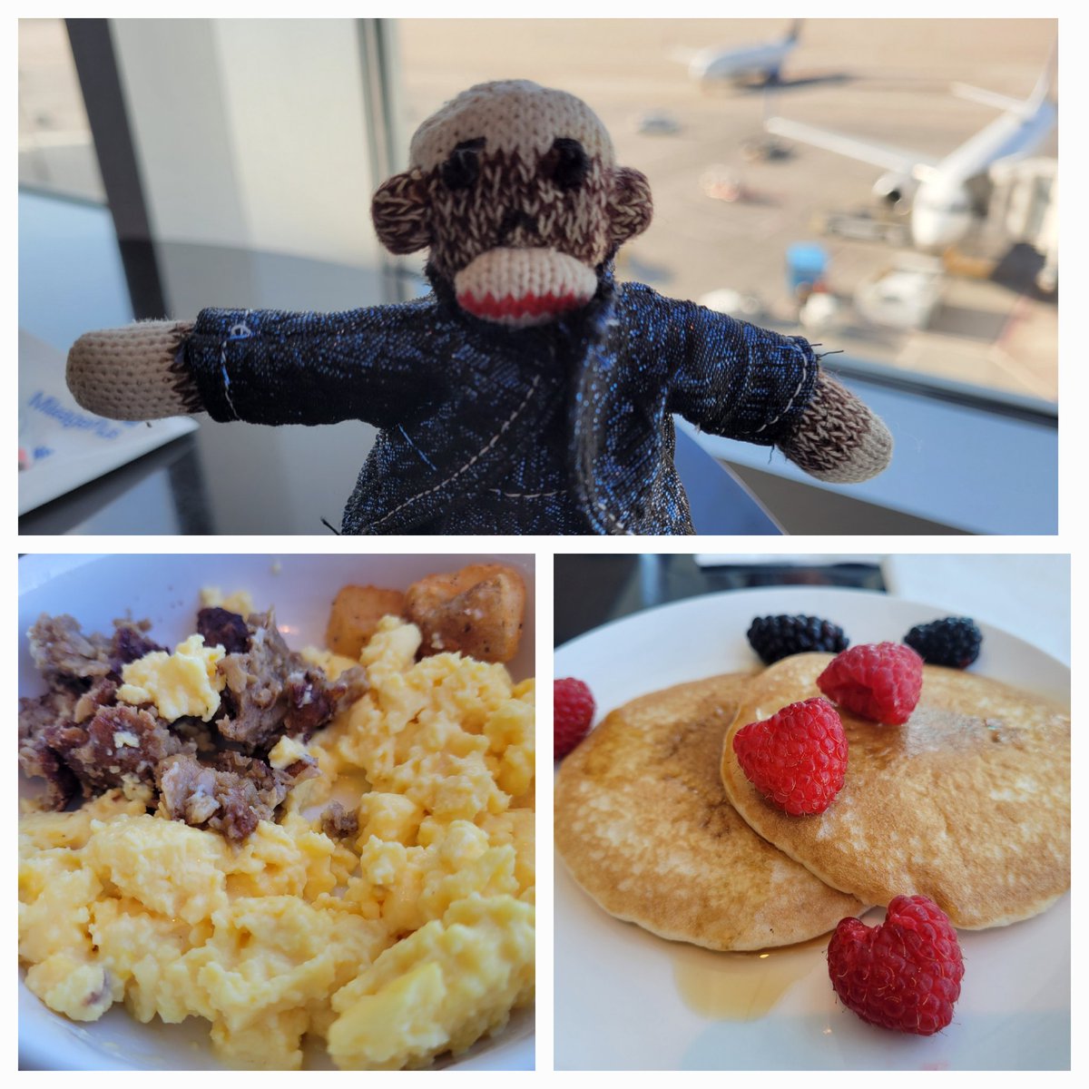 Guys! We had eggs, veg sausage and pancakes with berries for brekky. We hop on our flight soon! #iloveeggs #planesanity 
#chillinwithTM2 #TM2Verified ✅️🐒