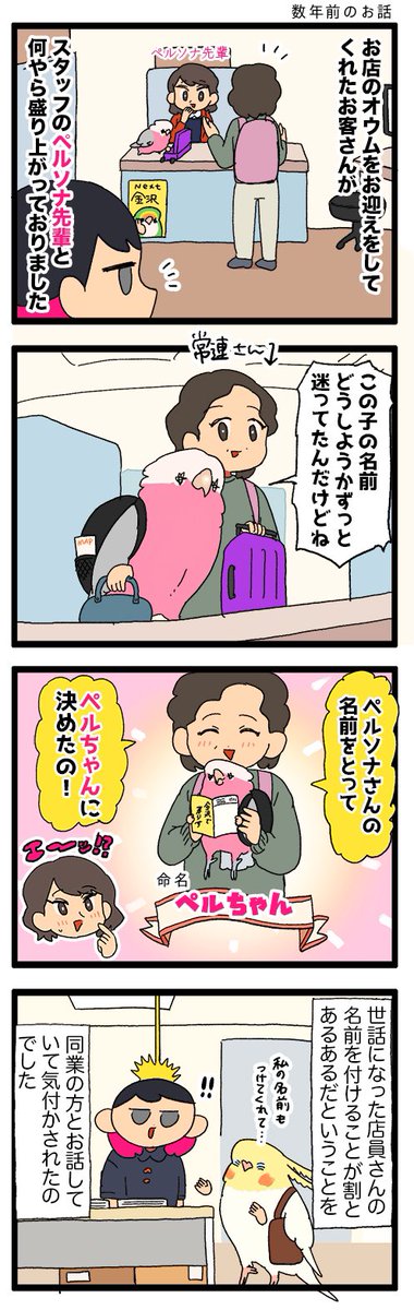 たまにお客さんがお迎えした子に店員さんの名前をつけてくれることがあります🙏😳

1134 #えるポピの絵日記かくところ 