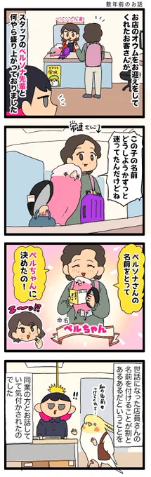 たまにお客さんがお迎えした子に店員さんの名前をつけてくれることがあります🙏😳

1134 #えるポピの絵日記かくところ 