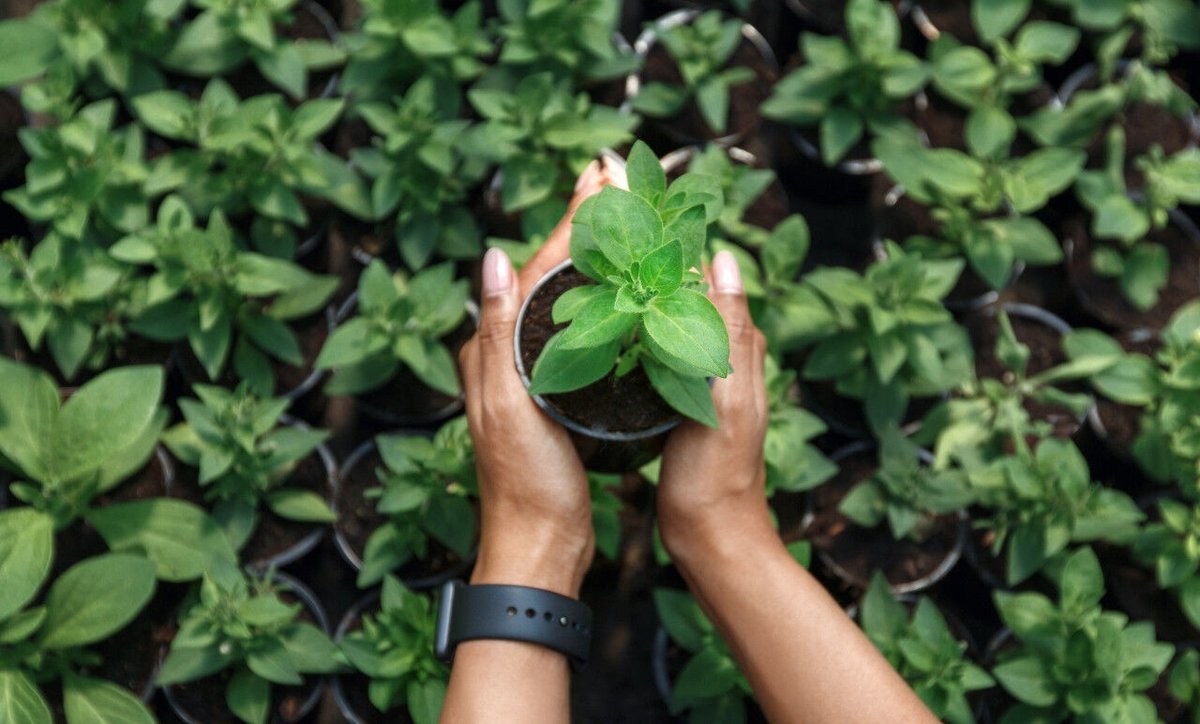 🌍♻️ Explora una carrera en Gestión Ambiental! Conviértete en un agente de cambio. Más info aquí: [Link]bit.ly/3TJsEq5
#GestiónAmbiental #Sostenibilidad #CarrerasVerdes