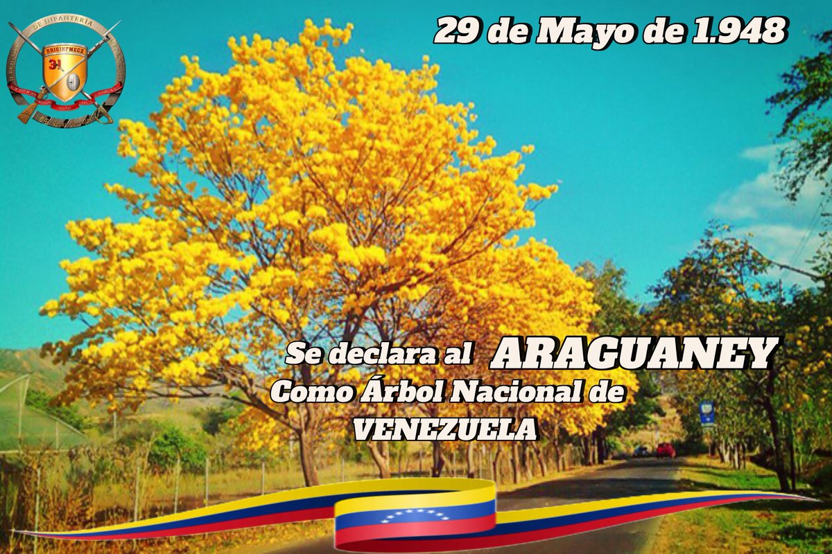 Tal día como hoy, un 29 de Mayo de 1948, el Araguaney es declarado el Árbol Nacional de Venezuela, siendo considerado como uno de los árboles más majestuosos y autóctonos de los bosques del país.