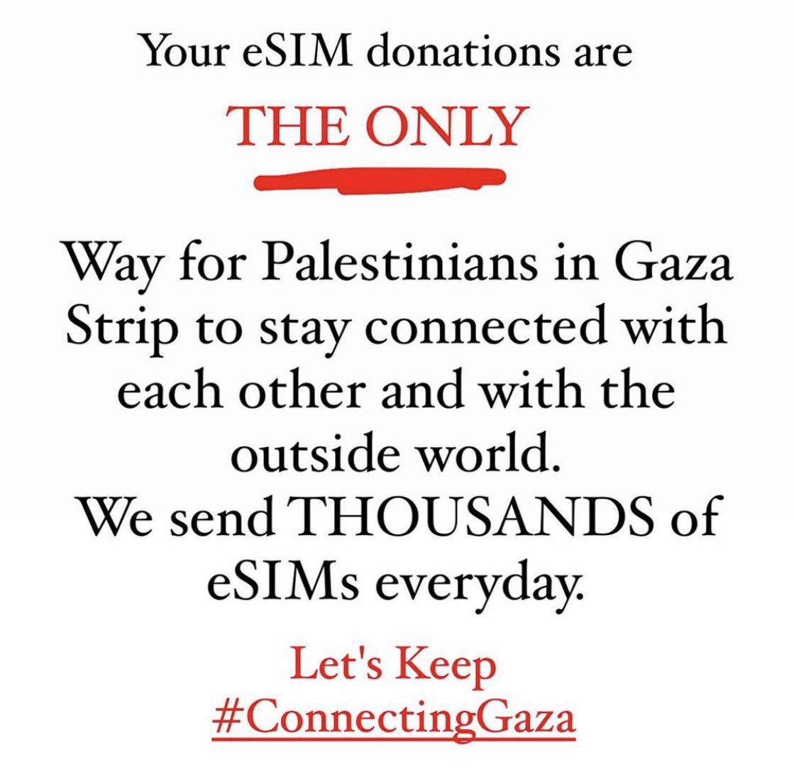 Bok Bok 🍉🔻 tweet media