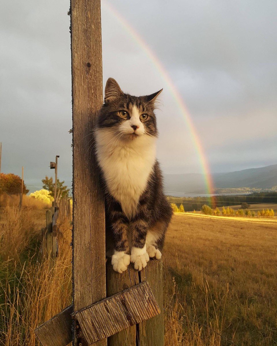 Under the rainbow 🌈