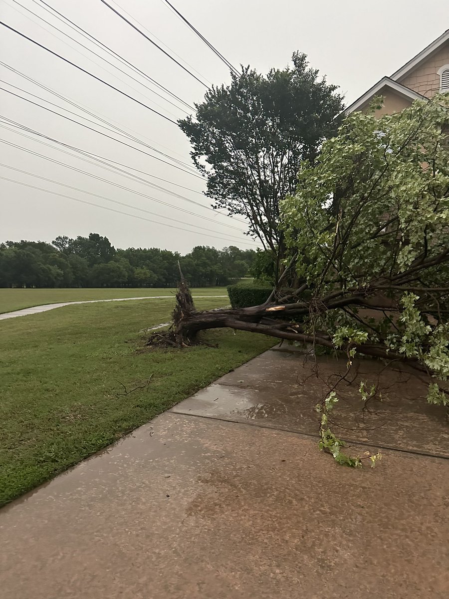 kmthomas10's tweet photo. @cityofplanotx https://t.co/rfVPEJ5TyN