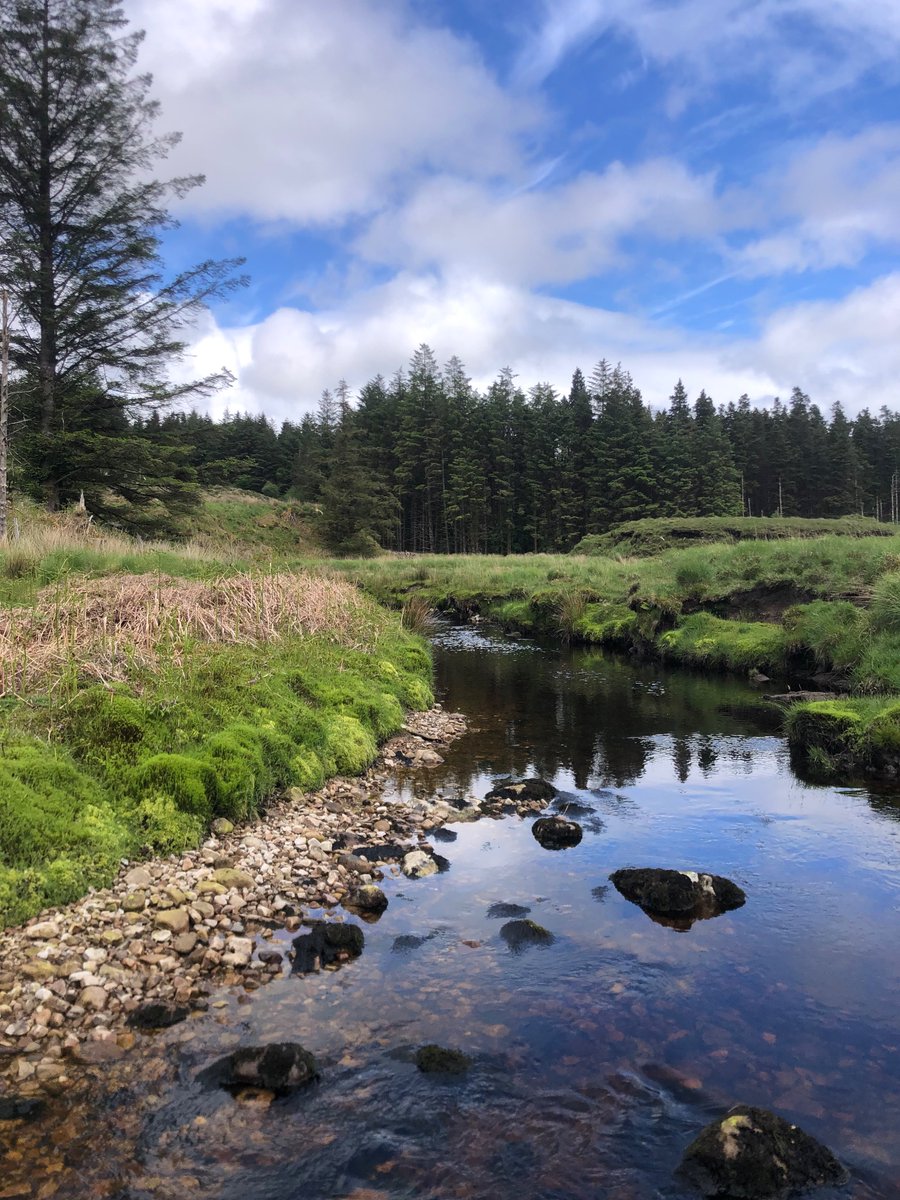 Elvira de Eyto (@edeeyto) on Twitter photo Annual macroinvertebrate sampling of the Burrishoole catchment done ✅
Into our 3rd decade of this dataset now 🤩
Thanks to <a href="/dhenrypinilla/">Dani Henry</a> <a href="/c_guilfoyle1/">Colin Guilfoyle</a> Justine and Xavier for the help
<a href="/MarineInst/">Marine Institute</a> Annual macroinvertebrate sampling of the Burrishoole catchment done ✅
Into our 3rd decade of this dataset now 🤩
Thanks to <a href="/dhenrypinilla/">Dani Henry</a> <a href="/c_guilfoyle1/">Colin Guilfoyle</a> Justine and Xavier for the help
<a href="/MarineInst/">Marine Institute</a>