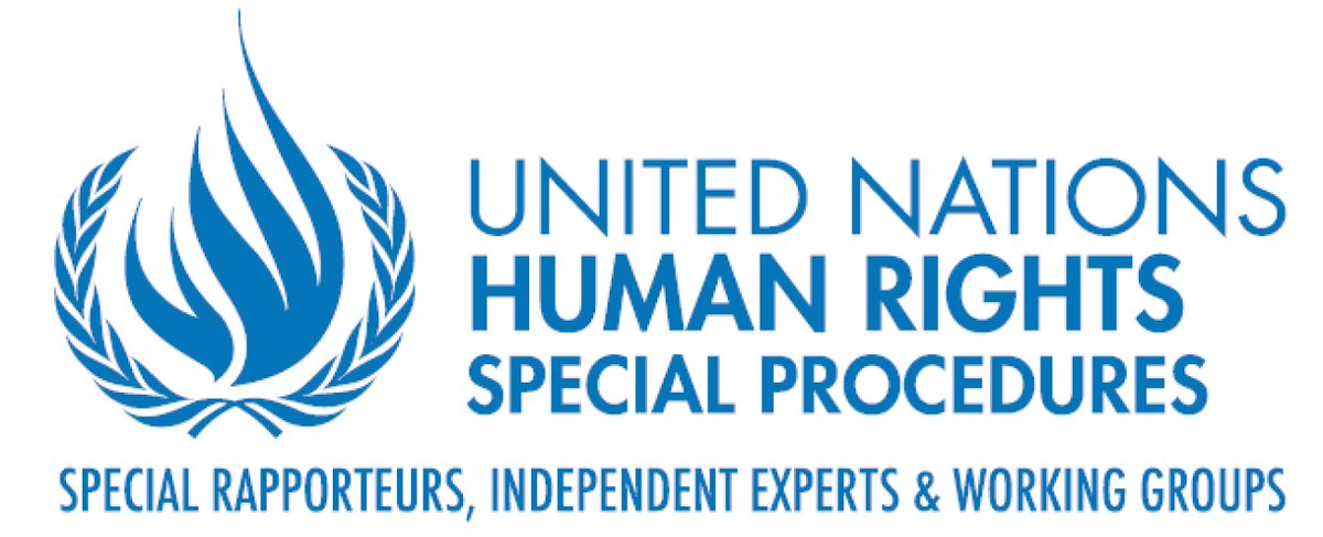 .@UN_SPExperts: 'Harrowing images of destruction, displacement & death emerged from #Rafah, including infants torn apart & people burnt alive. These barbaric attacks are a flagrant violation of international law. They are an attack on human decency & our collective humanity.'