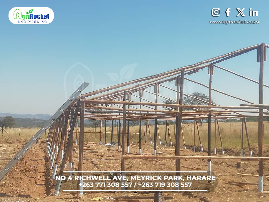 agrirocket_eng's tweet photo. 300sqm wooden greenhouse project in progress. Stay tuned for the results ‼️ 

#greenhouse #tomatoes #pepper #cucumber #profit #happyclientdiaries https://t.co/aI3MtX5SKJ