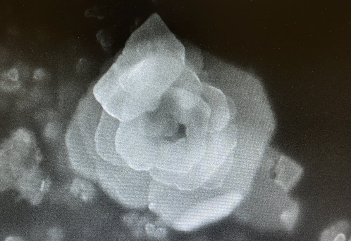 nano4light's tweet photo. Who said science can’t be romantic? 😉🌹❣️
#science #microscopy #chemistry https://t.co/AZledCJgvU