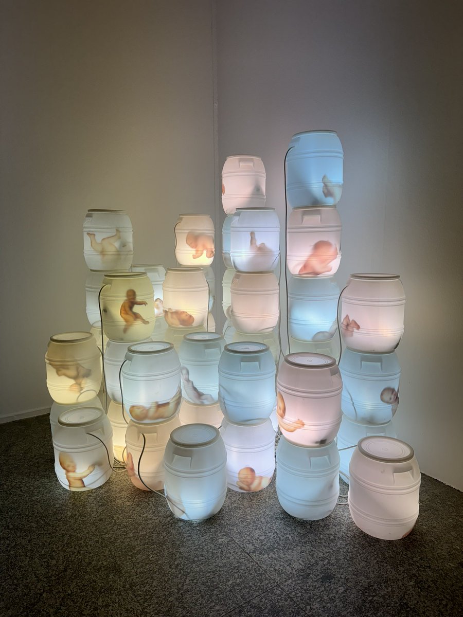 Hoy inauguración oficial de <a href="/photoespana/">PHotoESPAÑA</a> 2024 en el Real Jardín Botánico con los premios de <a href="/FundacionENAIRE/">Fundación ENAIRE</a>: Premio Trayectoria a la gran Paloma Navares y Premios de Fotografía 2024. Enhorabuena!!