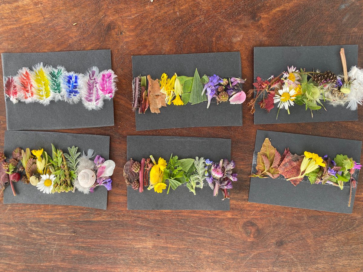 South Yorkshire Community Woodlands tweet media