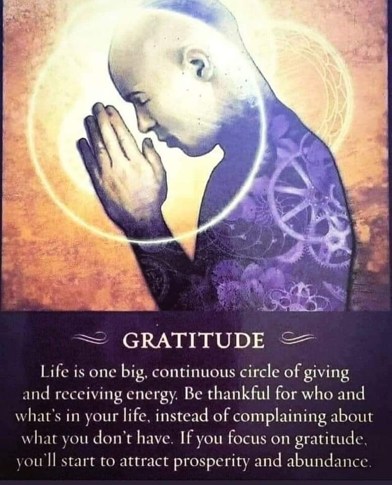 Katjami ErosEa (@mcgintykathleen) on Twitter photo 