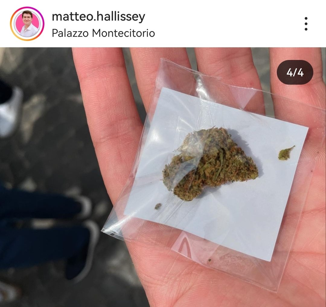 Radical Party, PiùEuropa and Meglio Legale militants distribute cannabis sachets with the face of PM Giorgia Meloni. 'Hemp, an Italian excellence'.

May 29, 2024