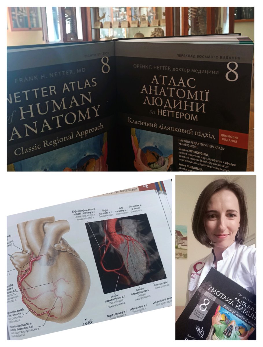 I was privileged to be a co-editor of the 8th ed of #Netter in 🇺🇦🇬🇧.
Happy to share the release!
