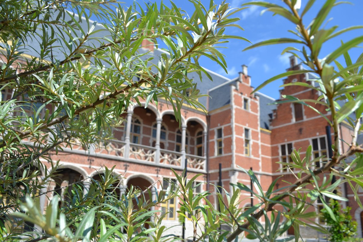 Je kan bij ons museum niet enkel terecht voor de kunst, maar je kan je ook gezellig neerplanten in onze museumtuin. Ideaal wanneer het mooi weer is! Daarnaast kan je tijdens de openingsuren van ons museum terecht bij de koffiebar van ons museum voor een hapje en een drankje.