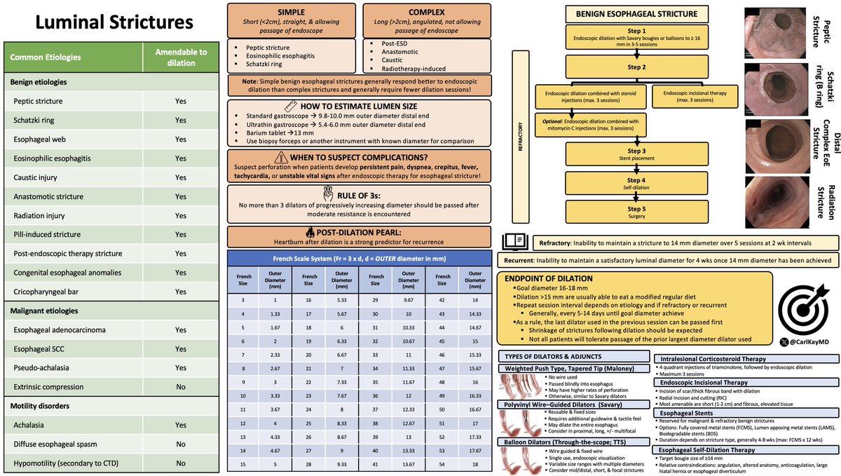 Luminal Strictures

▪️Benign vs. malignant
▪️Simple vs. complex
▪️How to estimate lumen size
▪️When to suspect complications
▪️“Rule of 3s”
▪️👀post-dilation heartburn
▪️French scale
▪️Definition of refractory & recurrent
▪️Endpoints 🥅 
▪️Types of dilators & adjuncts

#GITwitter