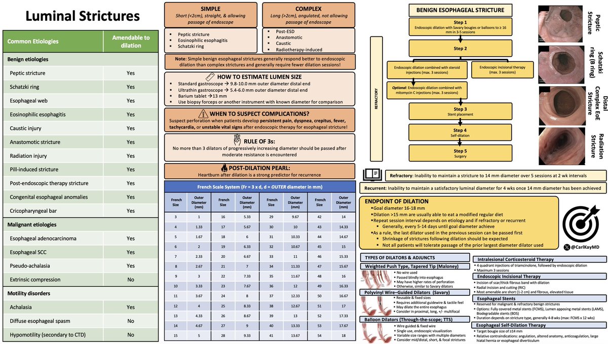 Carl Kay, MD (@carlkaymd) on Twitter photo Luminal Strictures
βͺοΈBenign vs. malignant
βͺοΈSimple vs. complex
βͺοΈHow to estimate lumen size
βͺοΈWhen to suspect complications
βͺοΈβRule of 3sβ
βͺοΈπpost-dilation heartburn
βͺοΈFrench scale
βͺοΈDefinition of refractory & recurrent
βͺοΈEndpoints π₯
βͺοΈTypes of dilators & adjuncts
#GITwitter Luminal Strictures
βͺοΈBenign vs. malignant
βͺοΈSimple vs. complex
βͺοΈHow to estimate lumen size
βͺοΈWhen to suspect complications
βͺοΈβRule of 3sβ
βͺοΈπpost-dilation heartburn
βͺοΈFrench scale
βͺοΈDefinition of refractory & recurrent
βͺοΈEndpoints π₯
βͺοΈTypes of dilators & adjuncts
#GITwitter