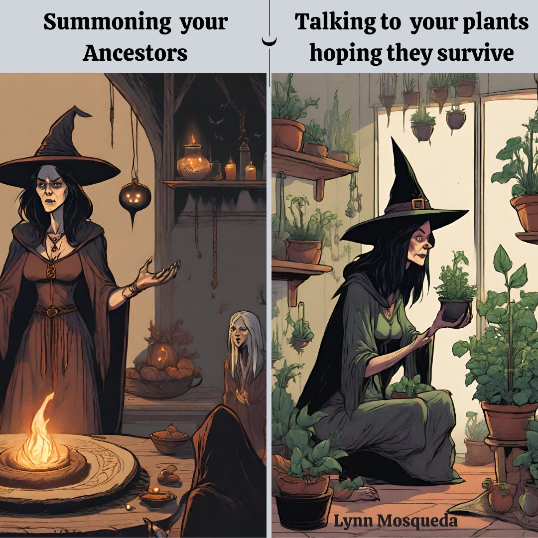 LynnMosqueda's tweet image. Witchy Woo Memes
😏 Expectations vs Reality

How's your magical journey going? ✨

Like/Repost for a chance to win this meme as a 1/1 

#WitchyWoo #MagicFun #Loopring
