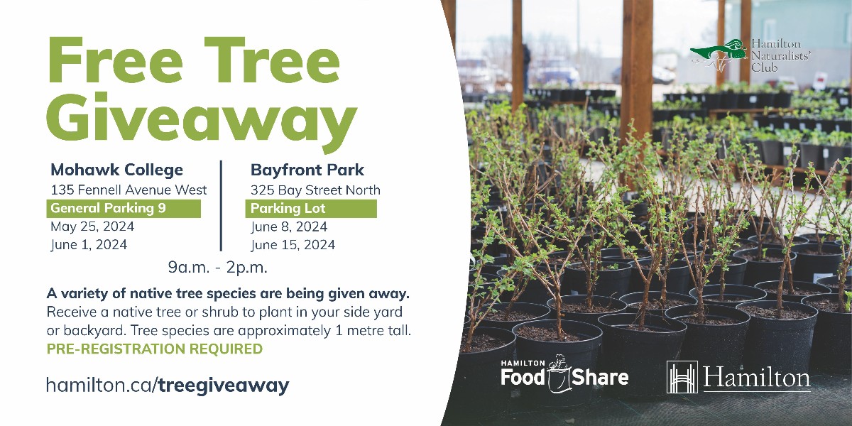 City of Hamilton tweet media