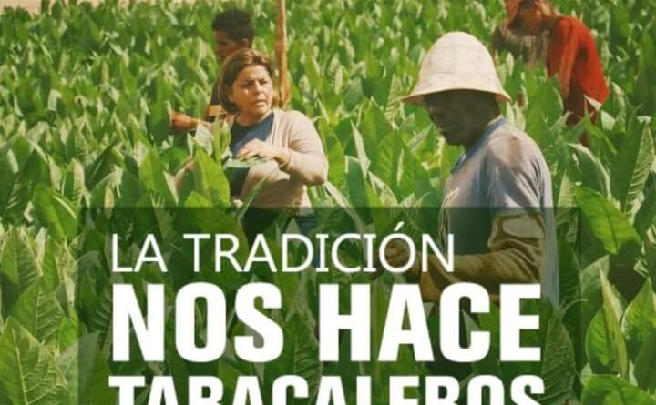 Como digno homenaje a Lázaro Peña González, en Cuba se celebra el Día del Trabajador Tabacalero cada 29 de mayo, fecha de su natalicio.
#Cuba
#IndustriasCuba
#Gempil
#industriadeltabacoencuba