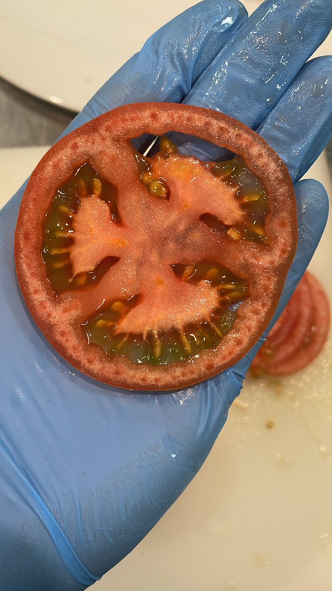 GuilleVlm's tweet photo. @gominolasdpetro que son esos puntitos en la carne del tomate??? Espero que nada malo porque ya me lo he ventilao 🫡🫡 https://t.co/Osei6CDrzn
